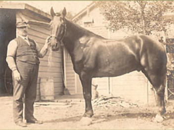 A Livery Man and His Horse