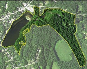 Biological Report for Summit Lake and Adjacent Areas