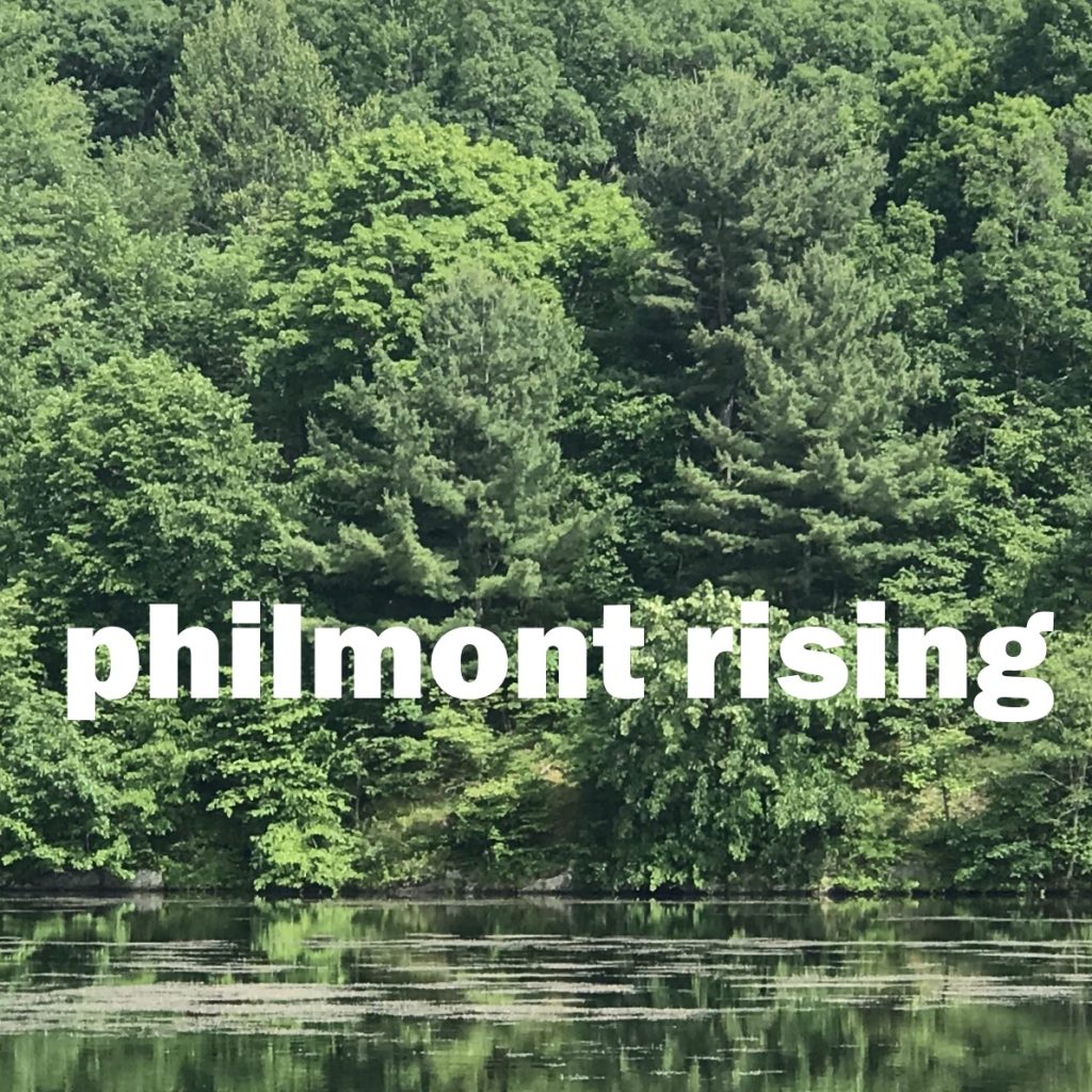 Dense forest over a pond reflecting the trees.