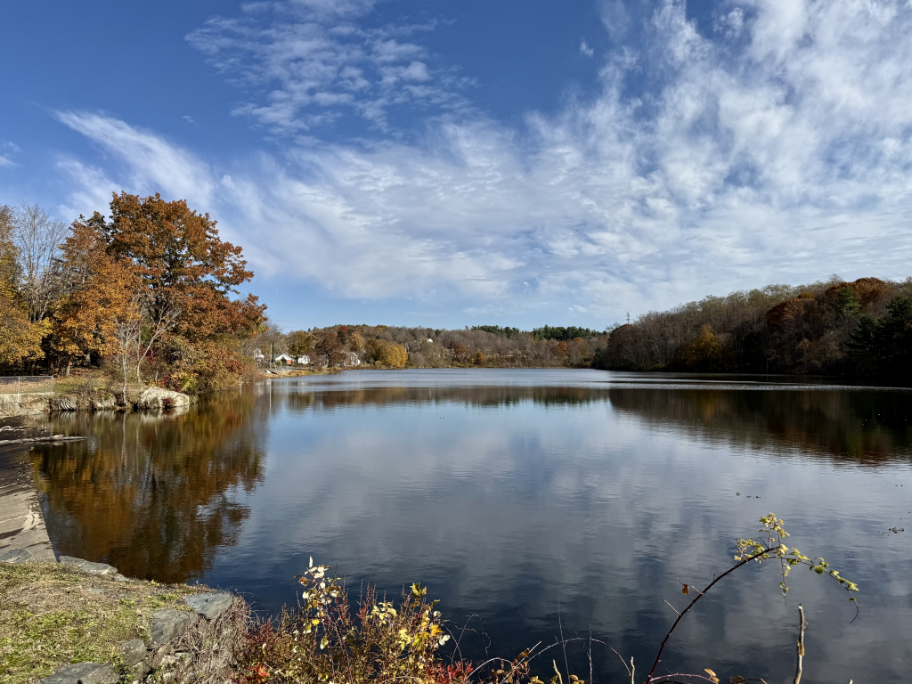 Serene Lake surrounded by trees with blue skies and light clouds overhead. Photo by Arthur King.